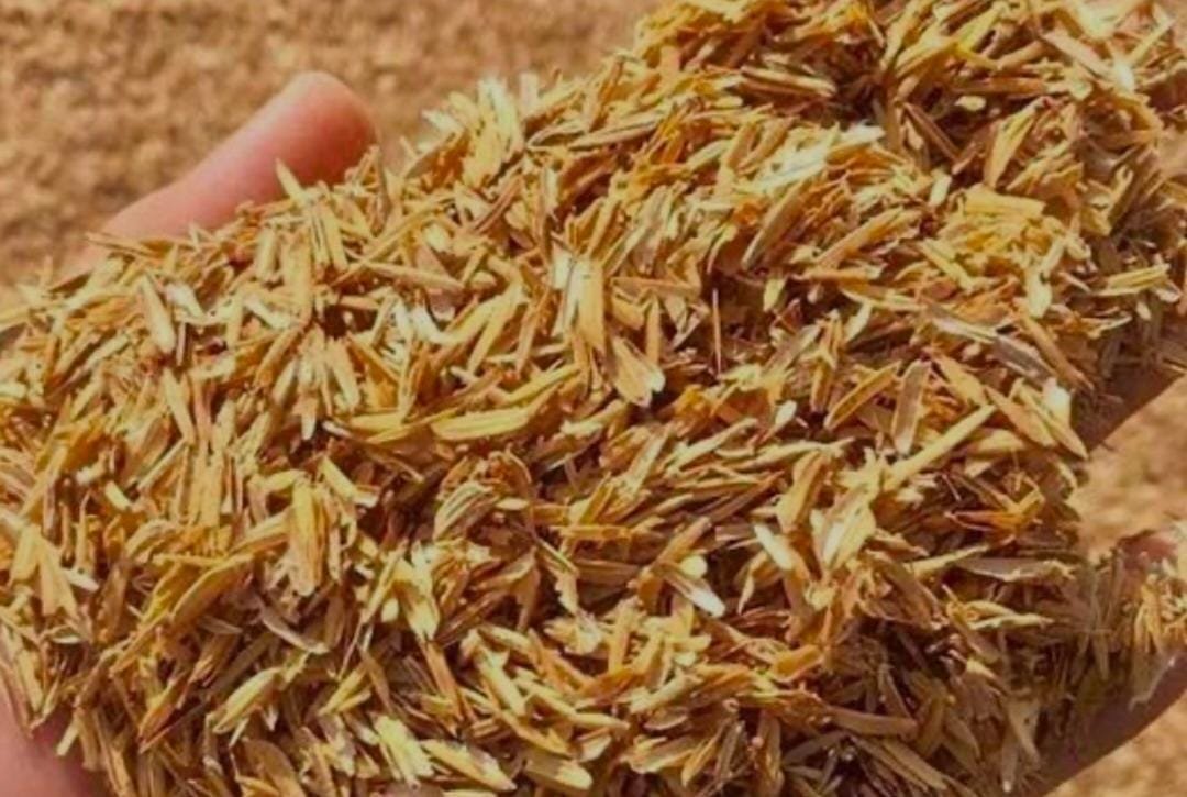 Rice Husk Natural